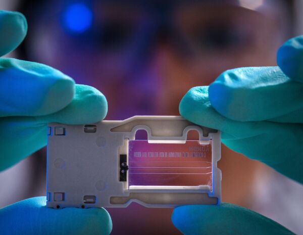 cdc-UBJJuAOv9os-unsplash