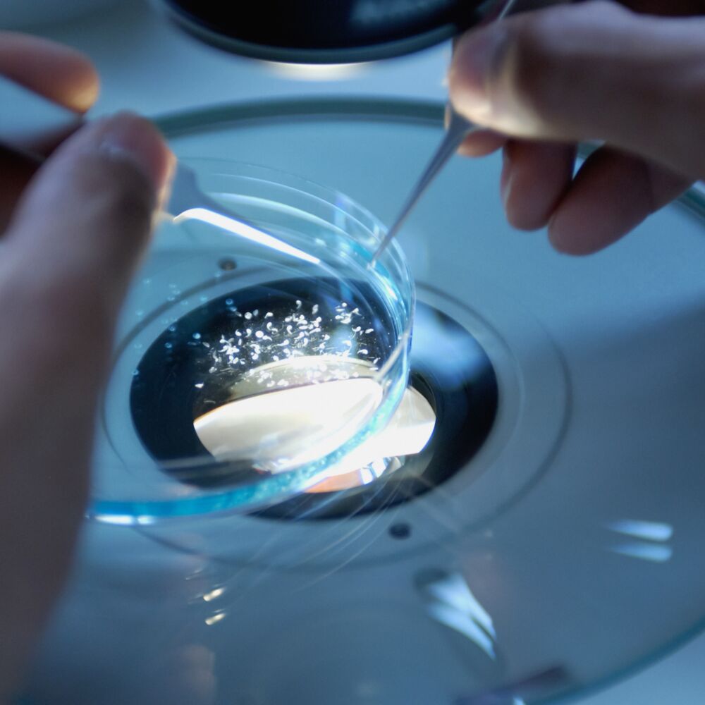 national-cancer-institute-OYlhHhzksuk-unsplash